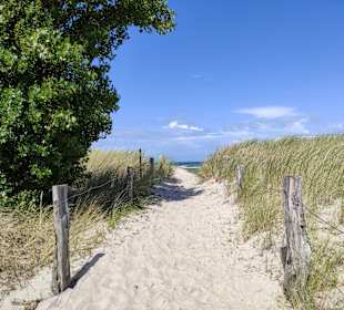 Naturschutzgebiet Graswarder