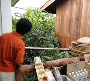 Wildlife Expeditions