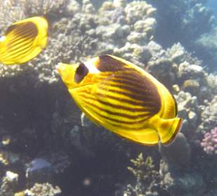 Ausflug mit Joseph&Marlen