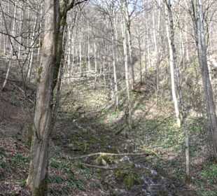 Wasserfallsteig
