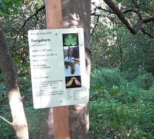 Baumlehrpfad Zollertal