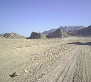 Die Wüste