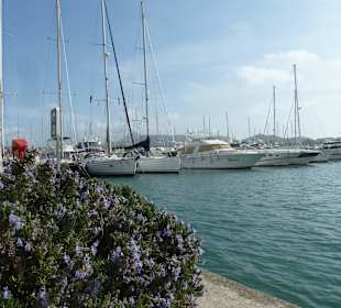 Angrenzende Marina