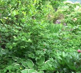 Mezger's Bürgle Park