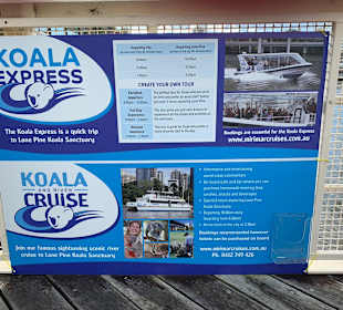 Lone Pine Koala Sanctuary