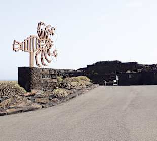 Jameos del Agua Cesar Manrique