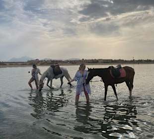 Reiten Hurghada