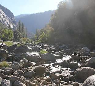 2015 fast augetrocknet