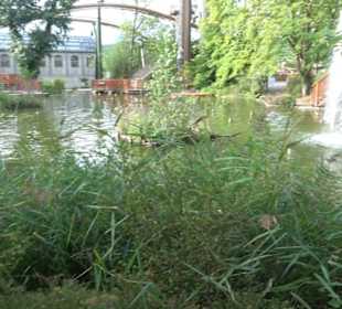 Erlebnispark Tripsdrill