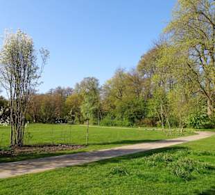 Impressionen vom Spaziergang durch den Kurpark