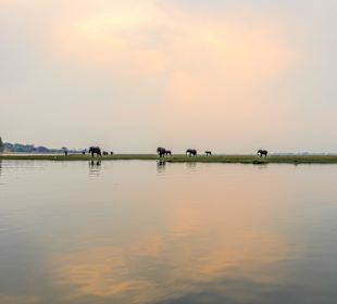 Die Choberiver-Front, zur Trockenzeit sehr tierrei