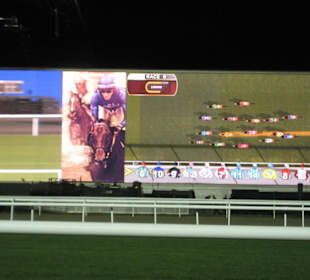 Dubai World Cup 2010