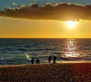 Ilha de Faro (Peninsula de Ancão)