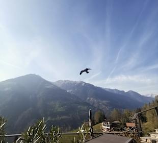 Wandergebiet Schennaberg