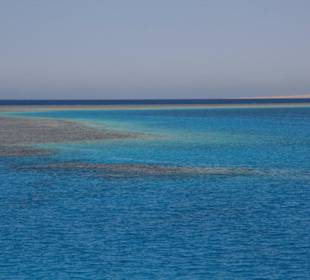 Delphintour Oktober 2008