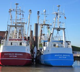Eindrücke aus dem Hafen von Ditzum