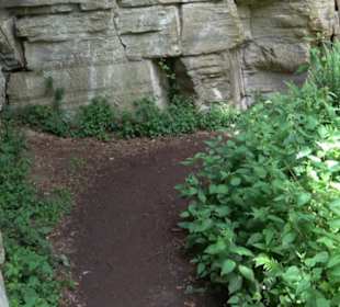 Wanderweg Märchensee Runde