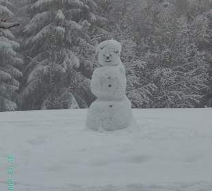 Ein einsamer Schneemann