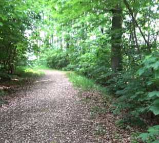 Premiumwanderweg "hochgelegen"