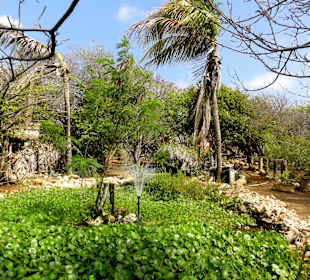 Impressionen vom Rundgang durch den Kräutergarten