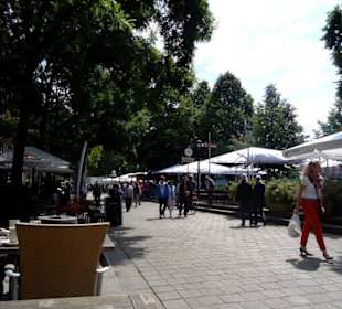 Die "Schlachte" im Sommer - tagsüber