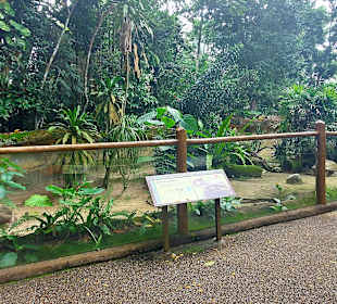 Singapur Zoo