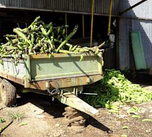 Der Berg mit Ausschuss