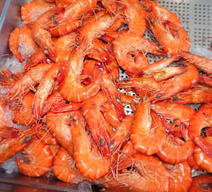 Auslage der Poissonnerie Ty´Breizh