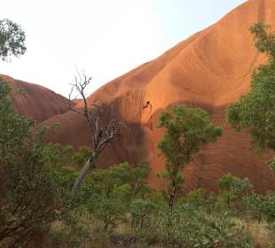 Uluru