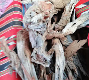 Holz fürs Essen sammeln