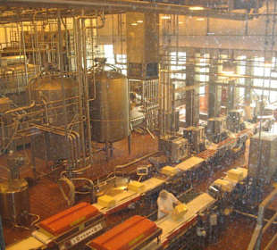 Tillamook Cheese Factory in Oregon