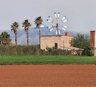 Radweg Playa de Palma nach Palma