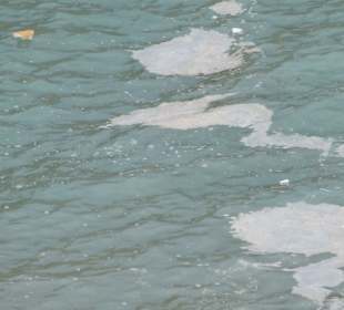 Fäkalien,Umweltverschmutzung