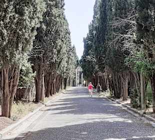 Auf Stadtrundgang durch Kos