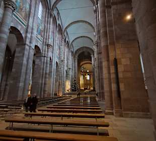 Dom zu Speyer in Speyer