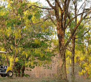 Caddie und Cart an Loch 17