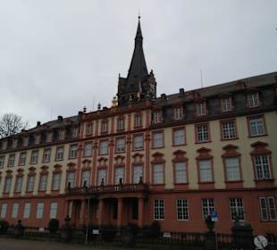 Schloss von der Innenstadt aus
