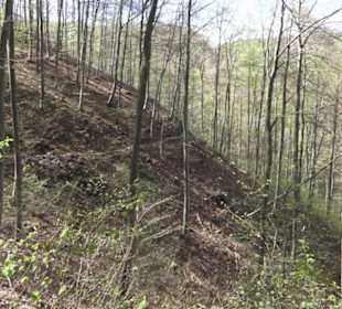 Wanderweg Hochgehkämpft