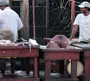 Fischmarkt Negombo