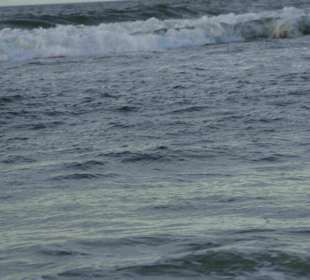 Strand Kolberg/Kolobrzeg