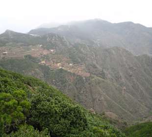 Hoch im Anaga Gebirge