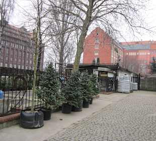 Breslauer Altstadt Botanischer Garten