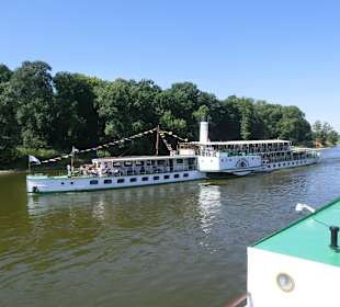 Begegnung auf der Elbe