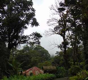 La Paz Waterfall Gardens