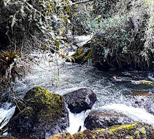 Rundweg „La Isla“ Path