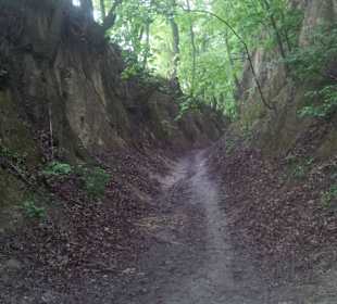 Wąwóz Świętej Królowej Jadwigi