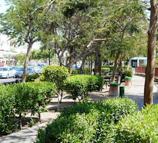 Aqaba Park