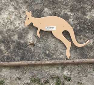 Eurasienbereich - Sprünge der Tiere