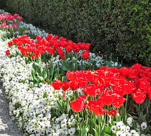 Spaziergang durch den Berggarten Hannover