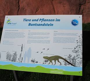 Alla Hopp Bewegungs- und Begegnungsanlage